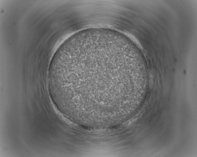 X0000064770895200603131431