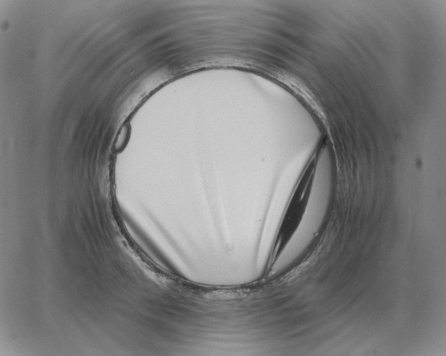 X0000064770898200603131431