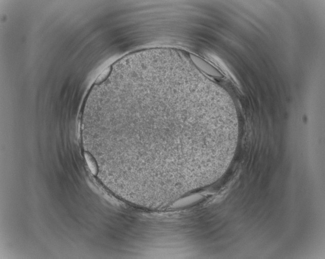 X0000064770900200603131431