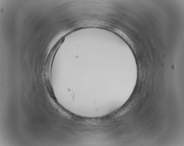 X0000064770901200603131431