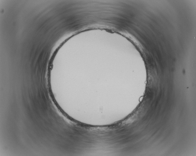 X0000064770902200603131431