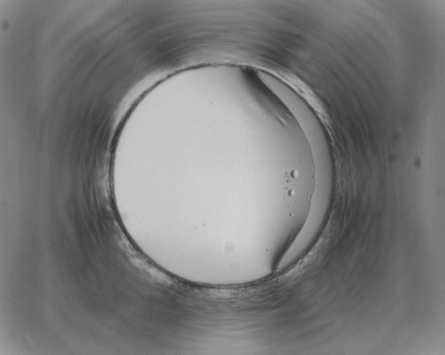 X0000064770904200603131431