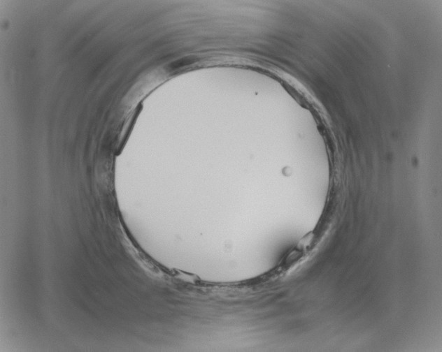 X0000064770905200603131431