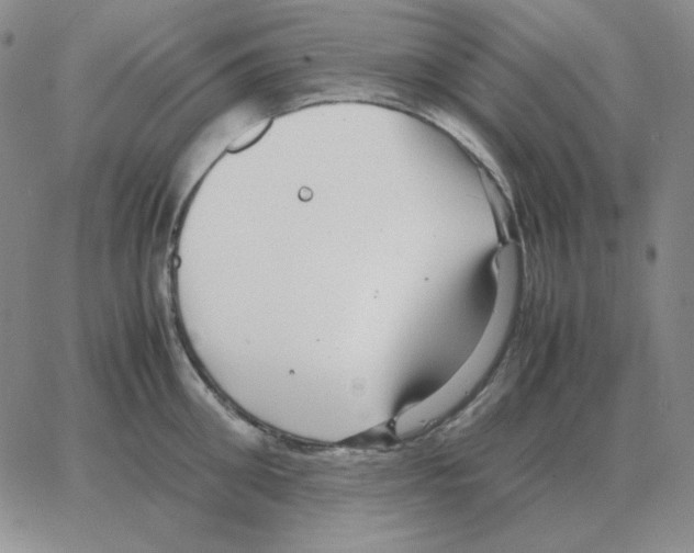 X0000064770906200603131431