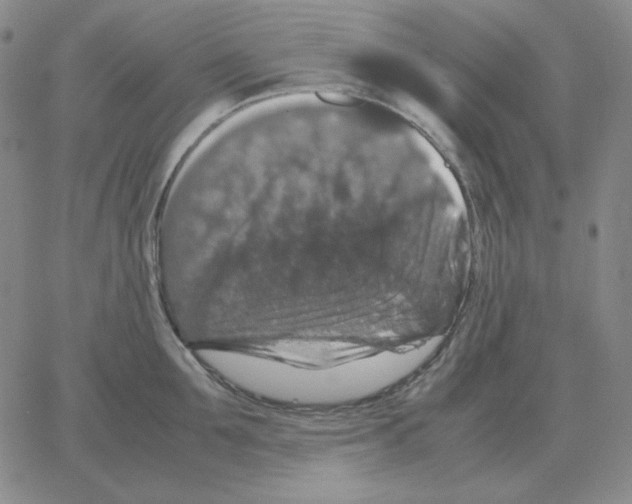 X0000064770907200603131431