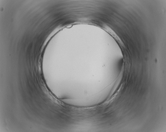 X0000064770908200603131431