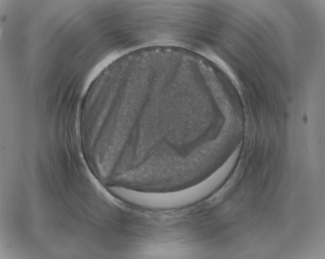 X0000064770910200603131430