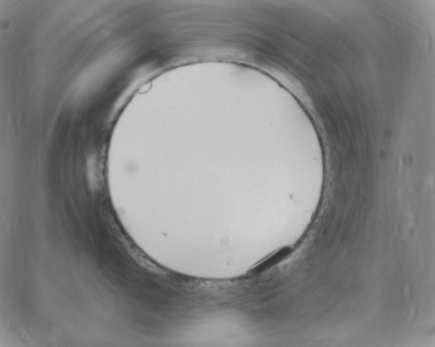 X0000064770912200603131430