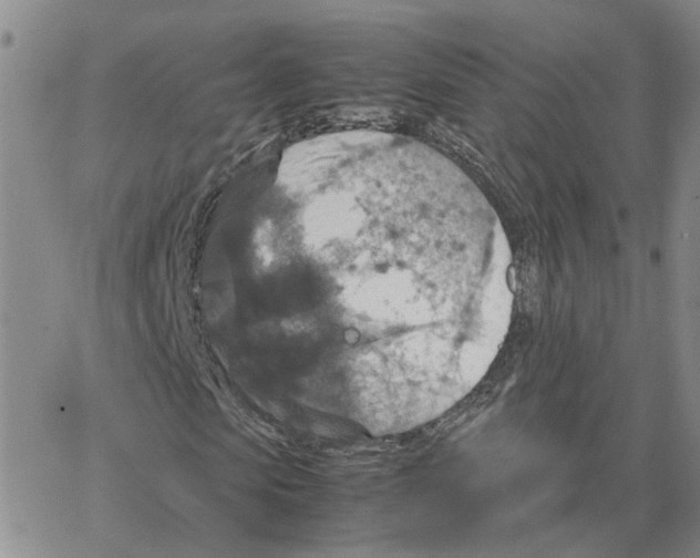 X0000064770913200603131430