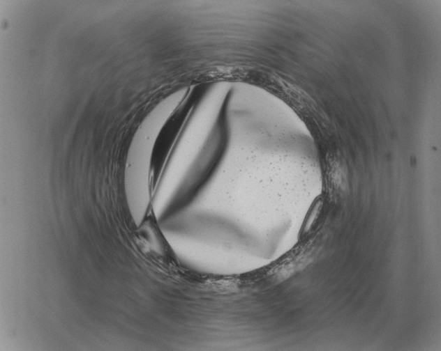 X0000064770914200603131430