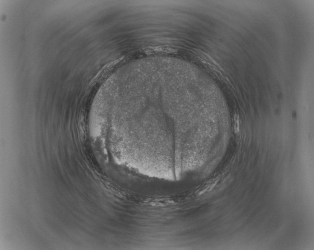 X0000064770915200603131430