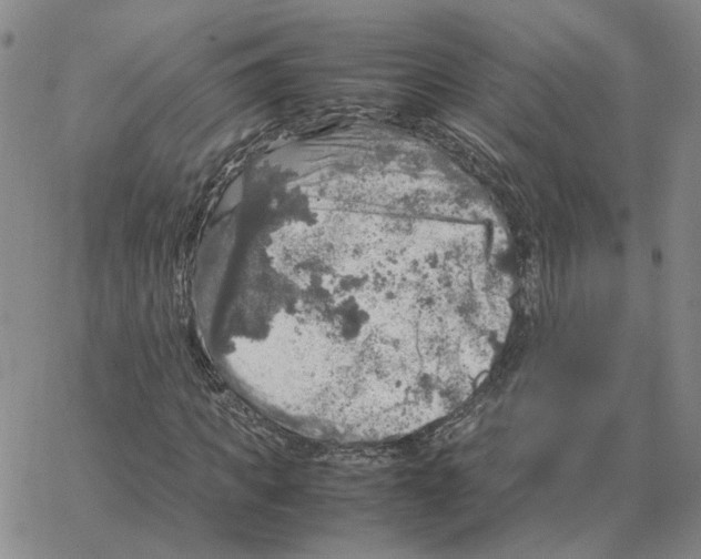 X0000064770917200603131430