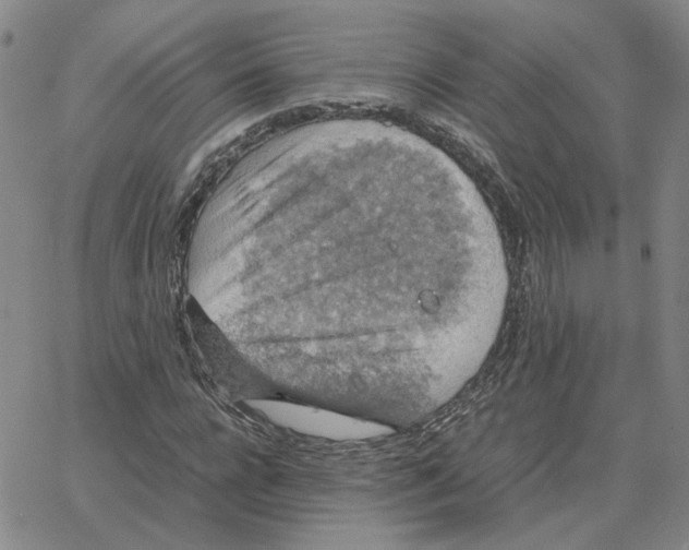 X0000064770920200603131430