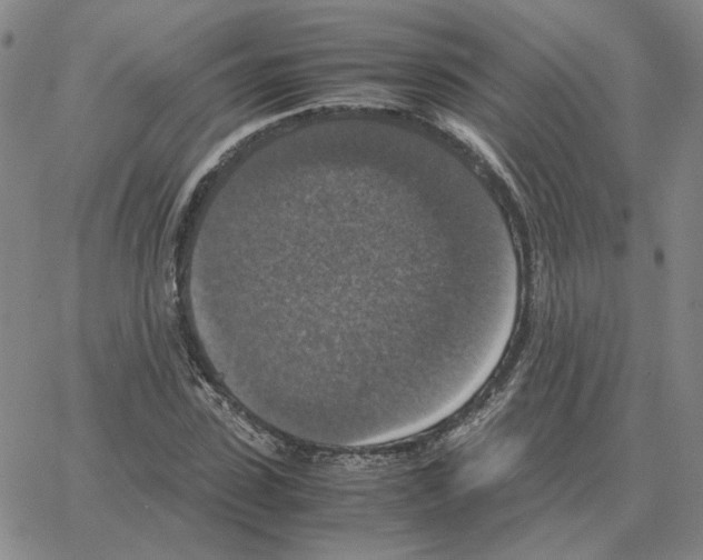 X0000064770923200603131430