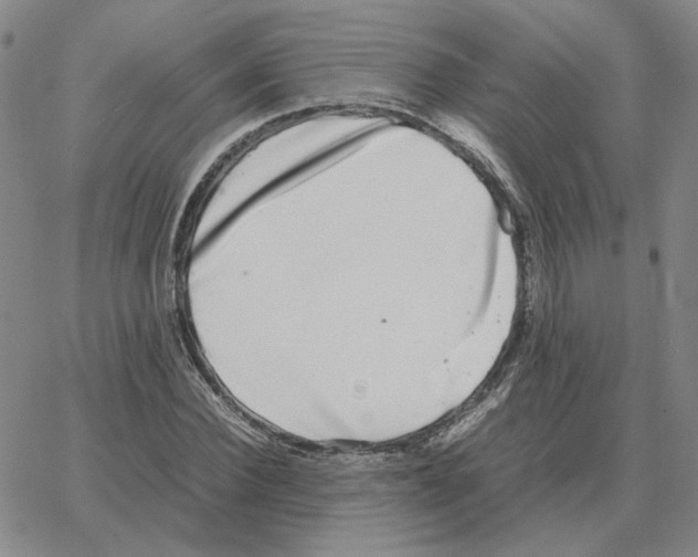 X0000064770924200603131430