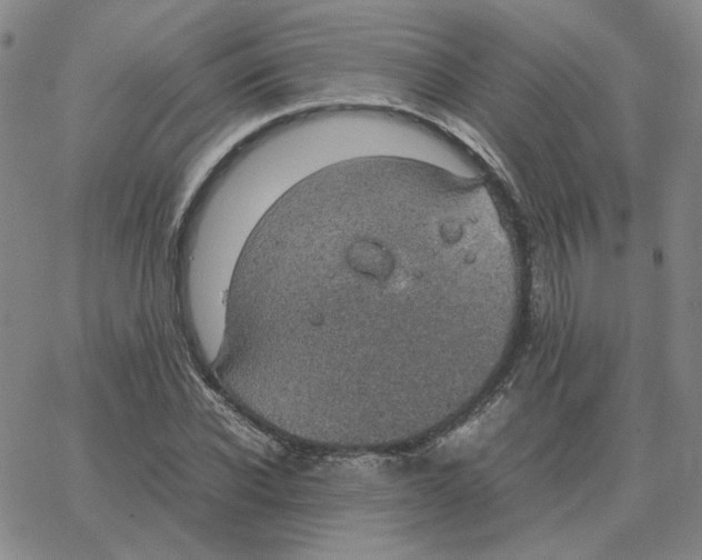 X0000064770926200603131430