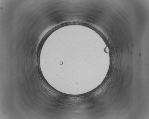 X0000064770927200603131430