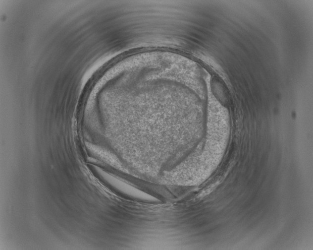 X0000064770928200603131430