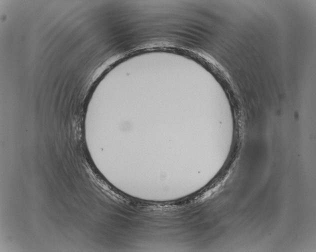 X0000064770929200603131430