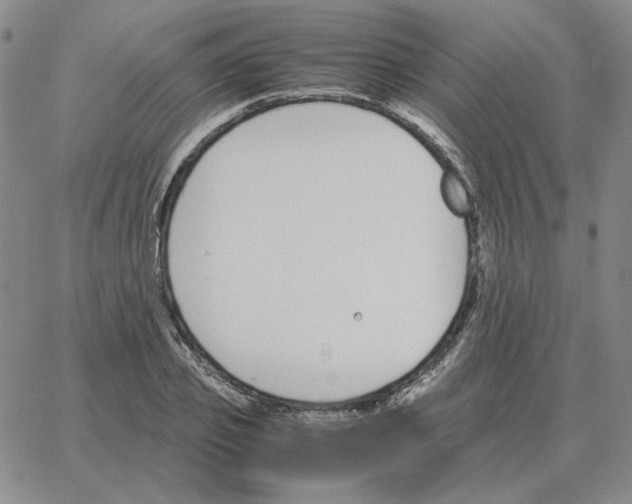 X0000064770933200603131430