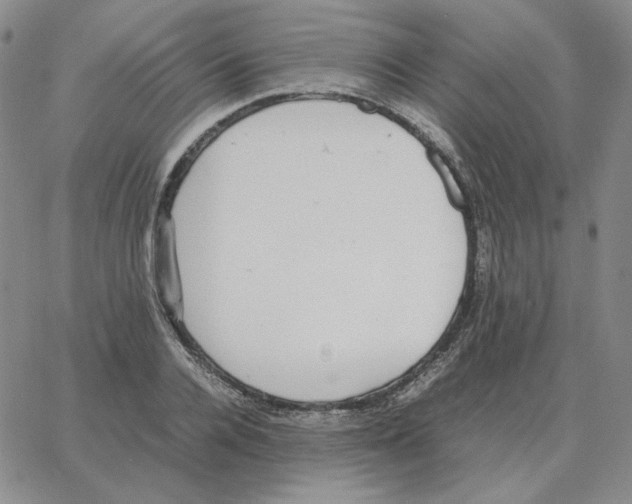 X0000064770936200603131430