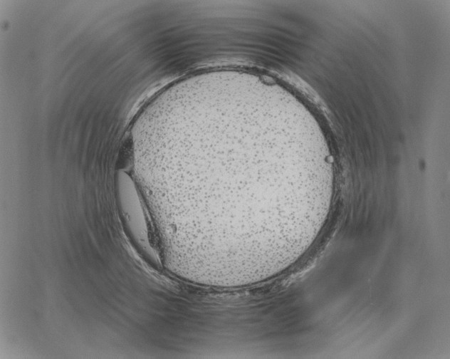 X0000064770937200603131430