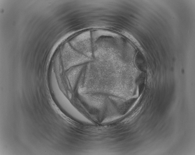 X0000064770939200603131430