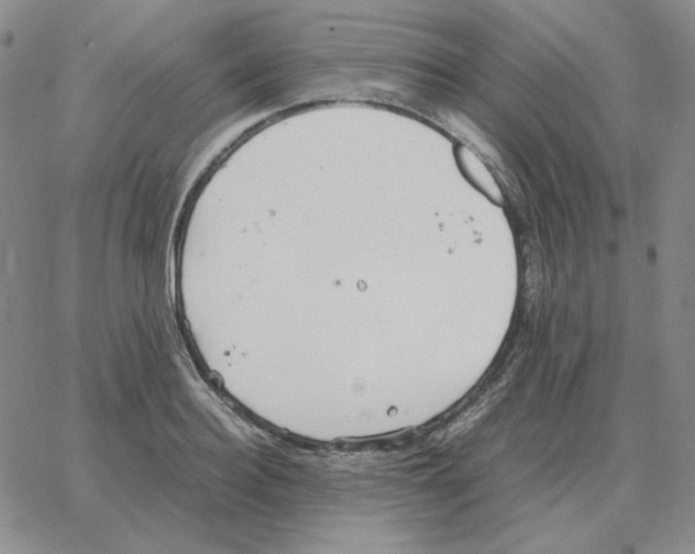 X0000064770940200603131430