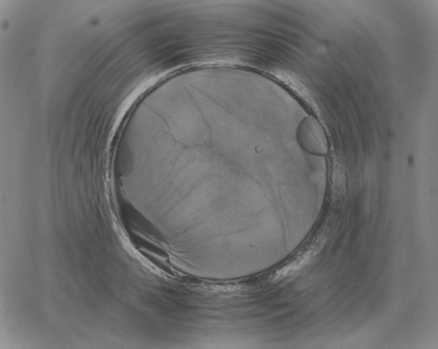 X0000064770941200603131430