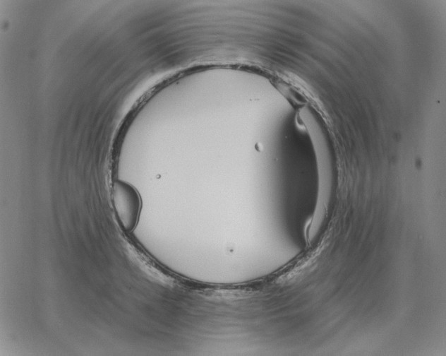 X0000064770942200603131430