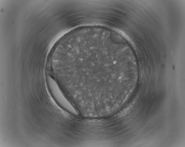 X0000064770943200603131430