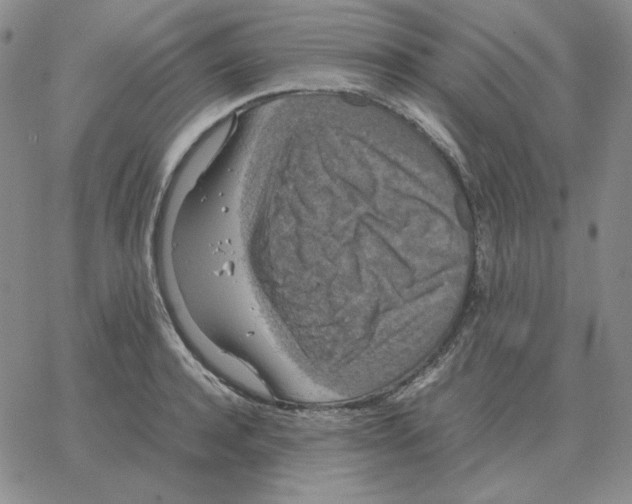 X0000064770944200603131430