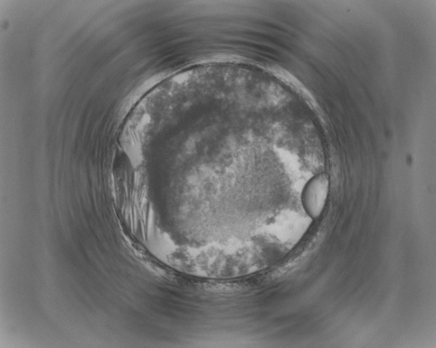 X0000064770945200603131430