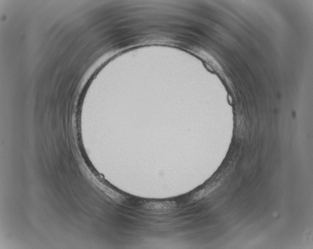 X0000064770947200603131430