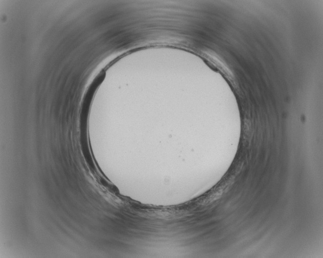 X0000064770948200603131430