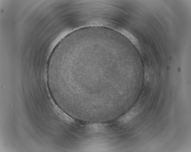 X0000064770950200603131430