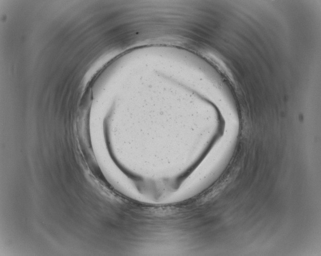 X0000064770952200603131430