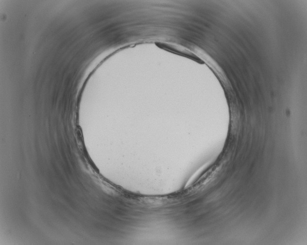 X0000064770956200603131430