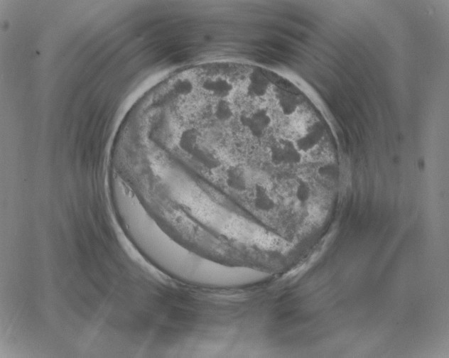 X0000064770957200603131430