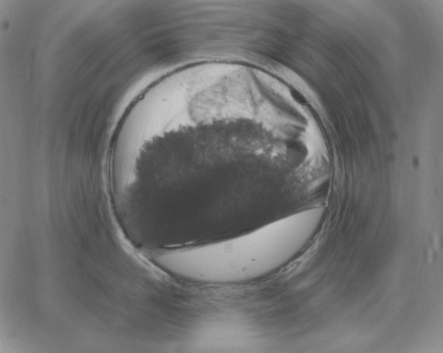 X0000064770958200603131430