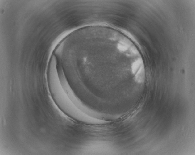 X0000064770959200603131430