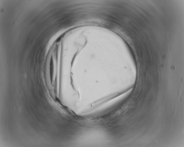 X0000064770960200603131430