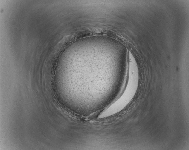 X0000064770961200603131430