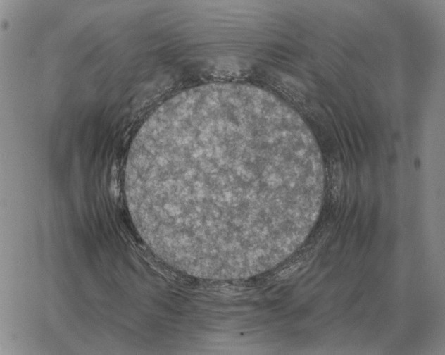 X0000064770962200603131430