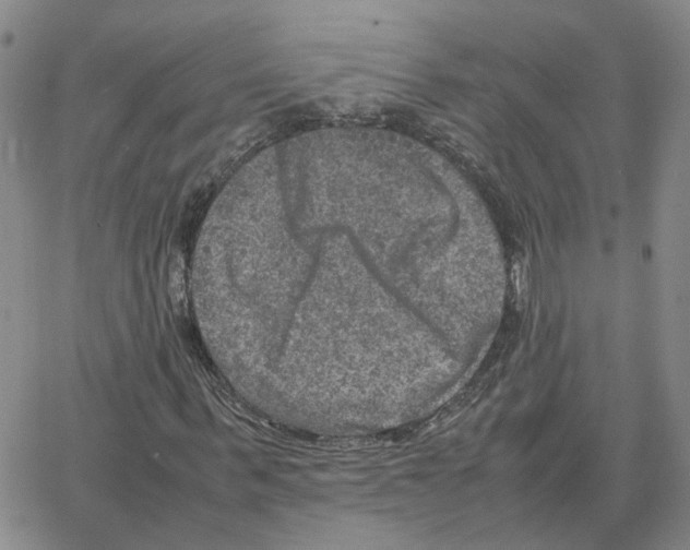 X0000064770963200603131430