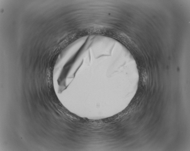 X0000064770964200603131430