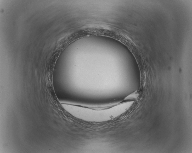 X0000064770965200603131430