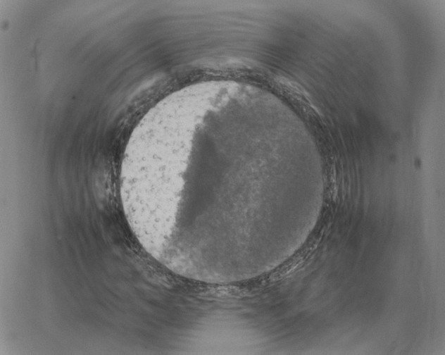 X0000064770966200603131430