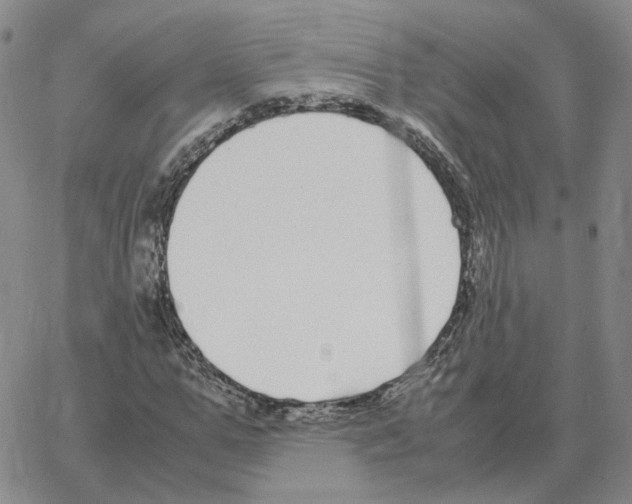 X0000064770967200603131430