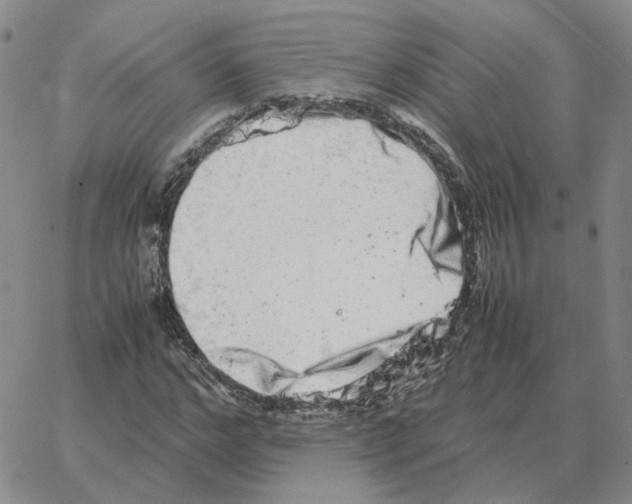 X0000064770968200603131430